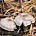Рядовка серебристо-серая (Tricholoma argyraceum)