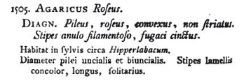 Scopoli I. A. 1772 Agaricus Roseus